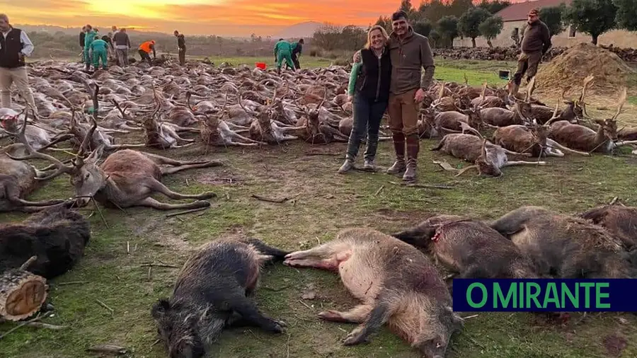 Montaria na Quinta da Torre Bela mata mais de quinhentos animais e gera polémica