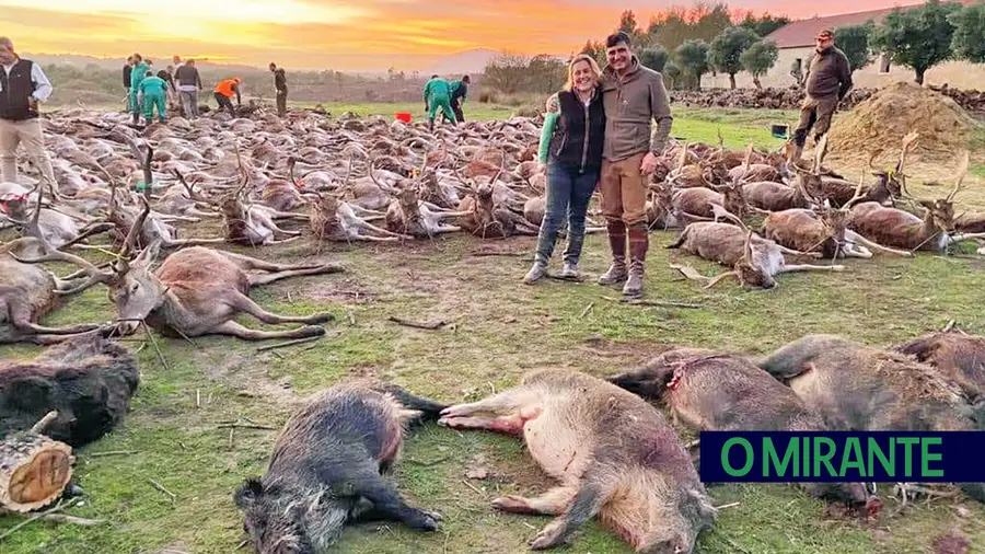 Massacre de animais na Quinta da Torre Bela