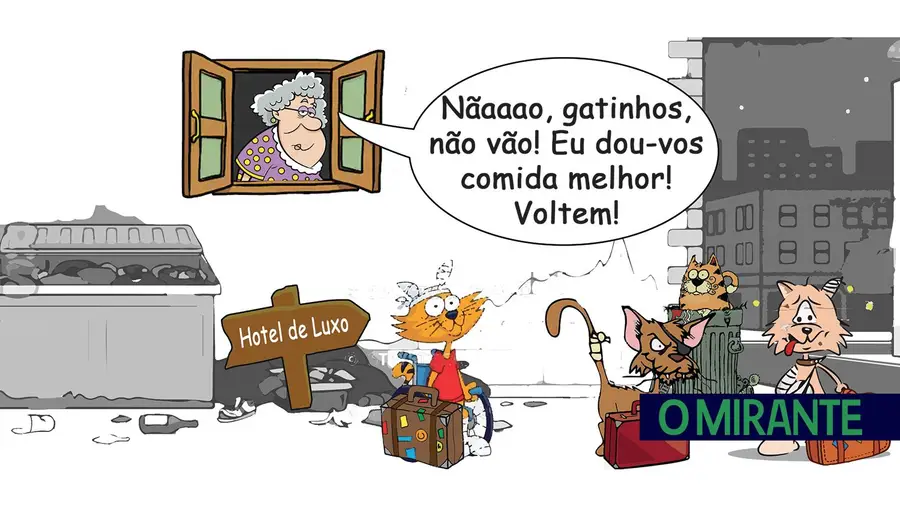 Quem não tem cão caça com gato