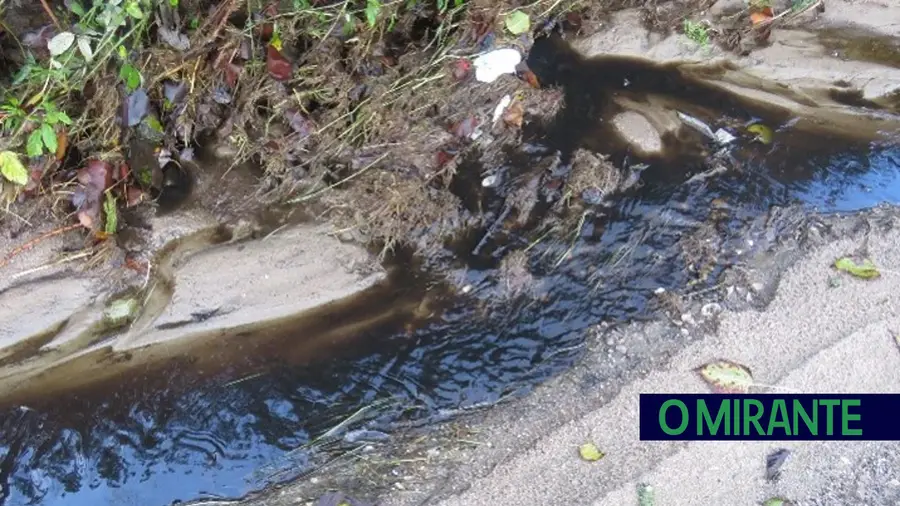 Descargas de esgotos de pecuárias em linhas de água de Rio Maior