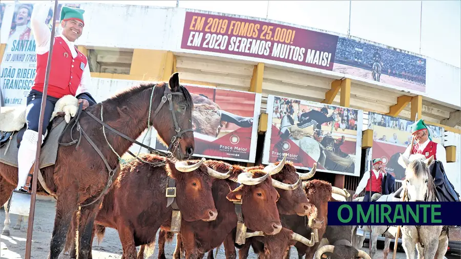 Santarém e Vila Franca de Xira dominaram tauromaquia em 2020