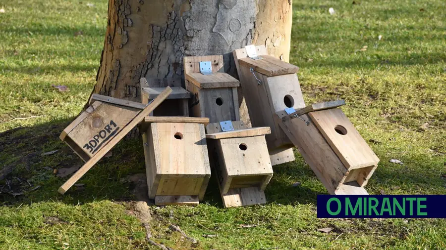 Torres Novas instala ninhos artificiais nos jardins da cidade