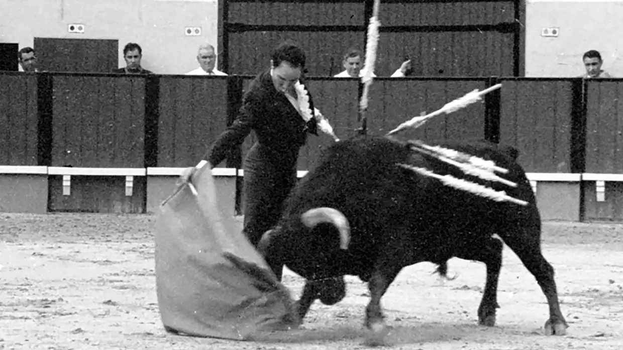 Toureiro José Júlio morre vítima de Covid-19