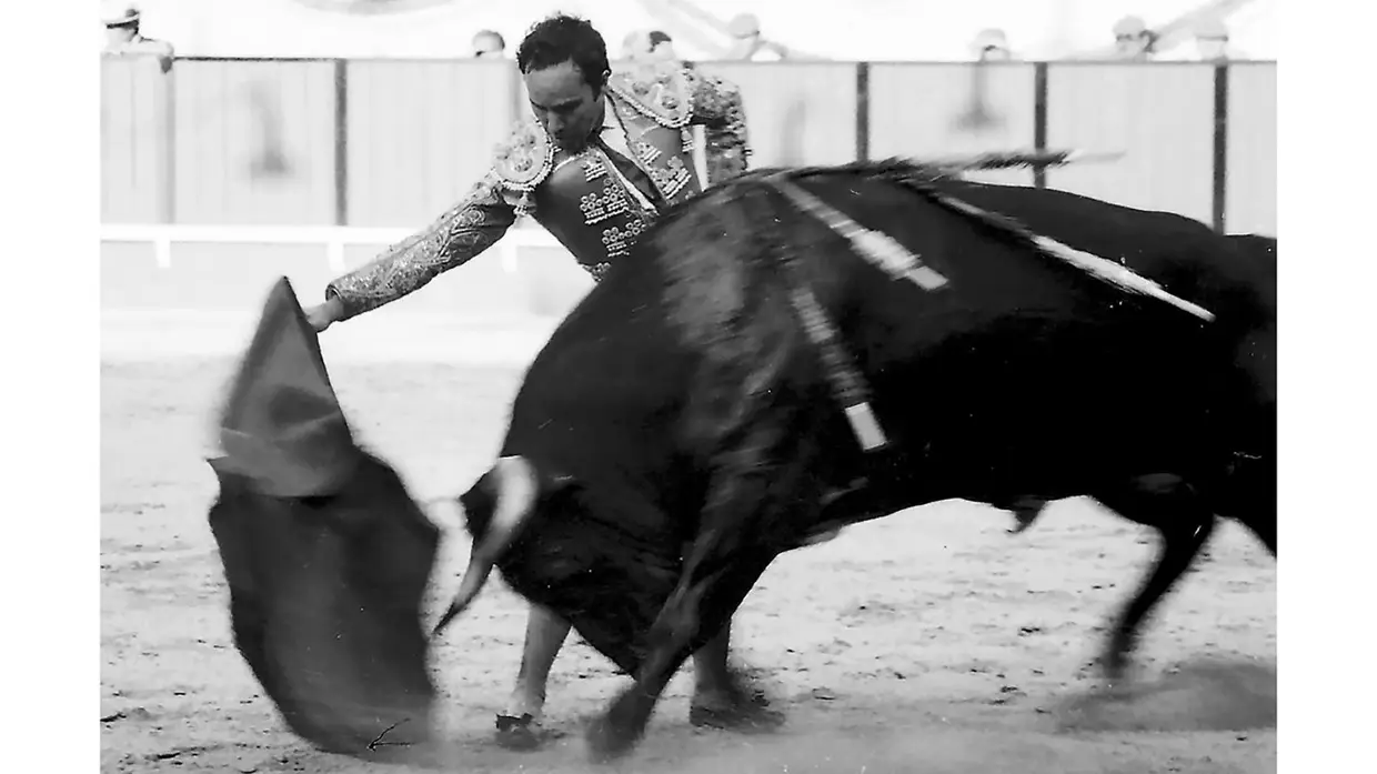Toureiro José Júlio morre vítima de Covid-19