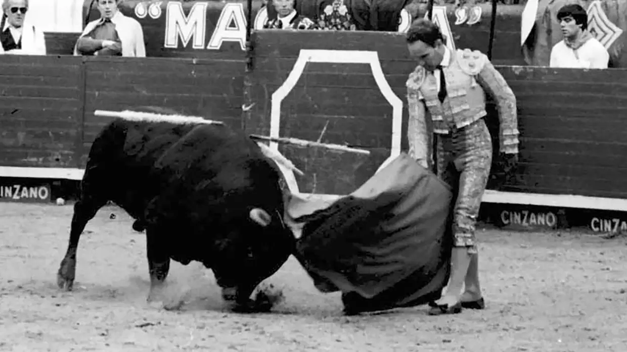 Toureiro José Júlio morre vítima de Covid-19