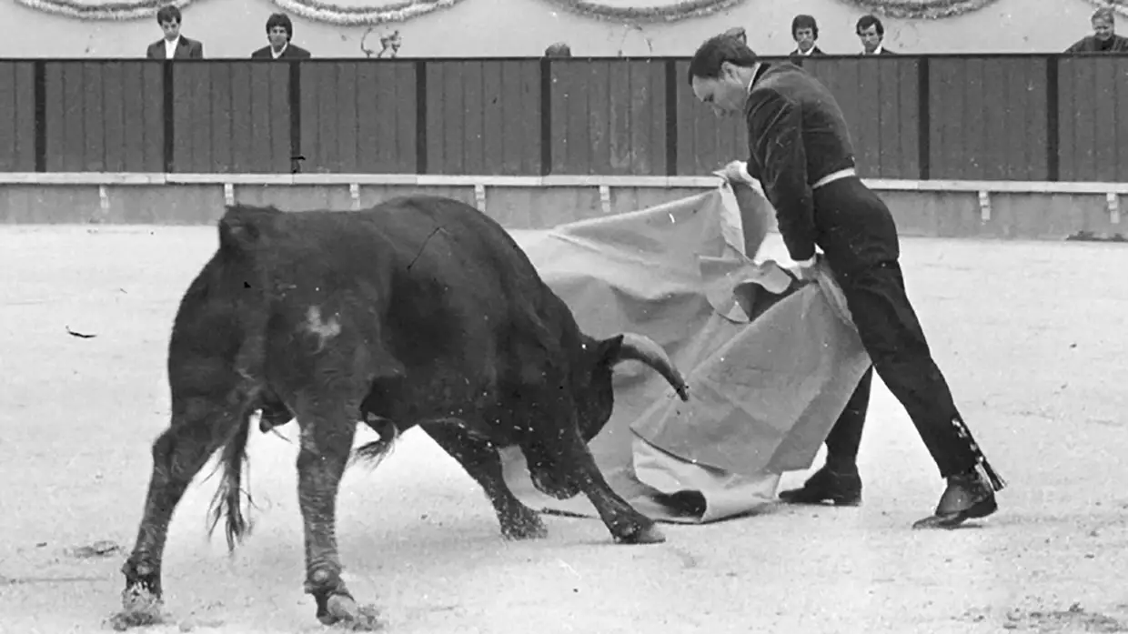 Toureiro José Júlio morre vítima de Covid-19