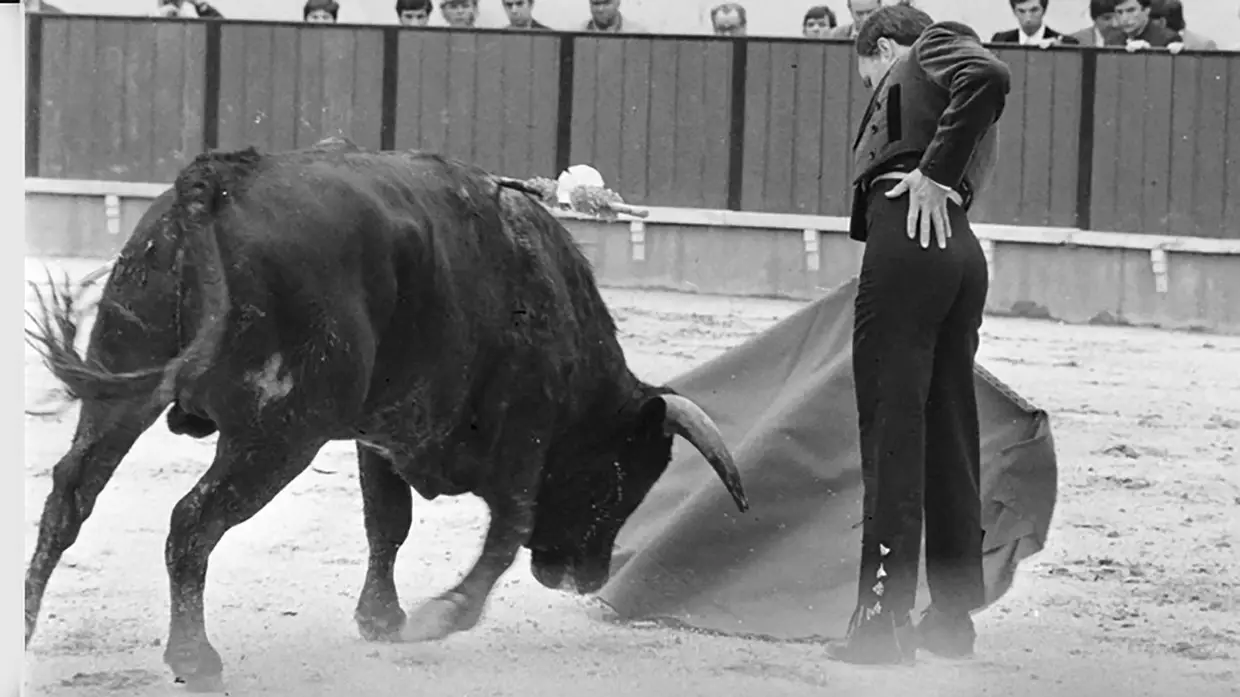 Toureiro José Júlio morre vítima de Covid-19
