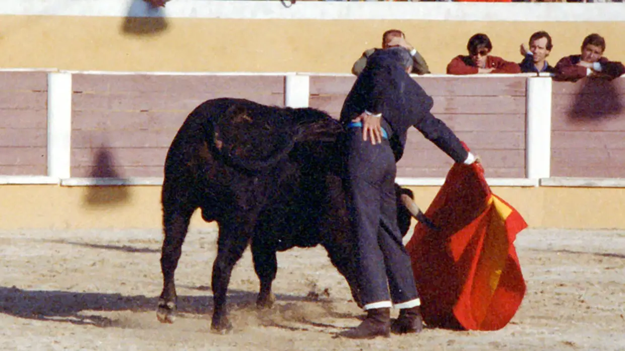 Toureiro José Júlio morre vítima de Covid-19