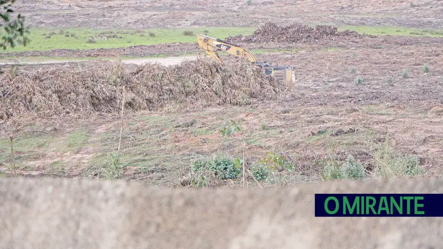 Retomada avaliação ambiental de central fotovoltaica na Torre Bela 