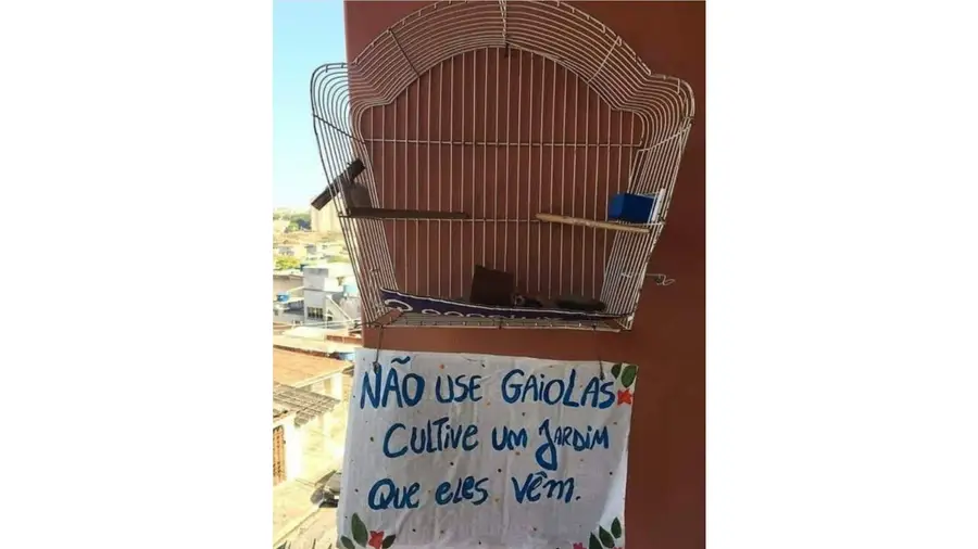 Não use gaiolas cultive um jardim que eles vêm