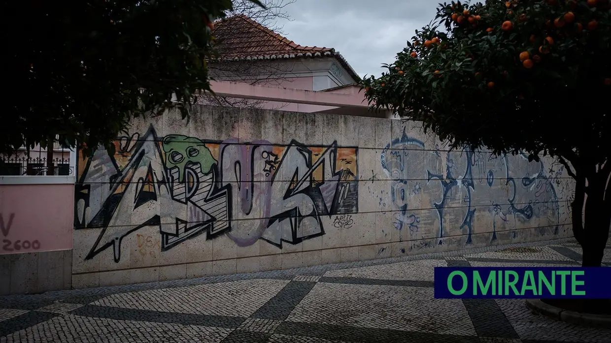 Grafitos em Vila Franca de Xira dão má imagem