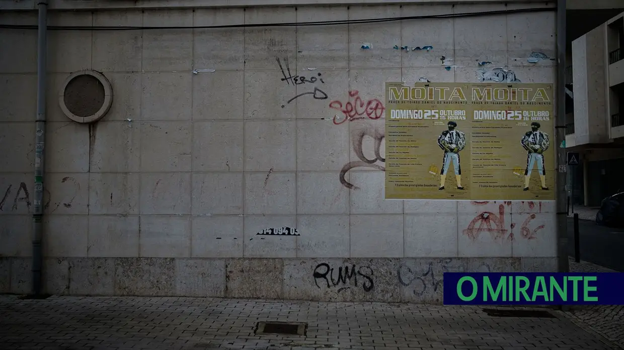 Grafitos em Vila Franca de Xira dão má imagem