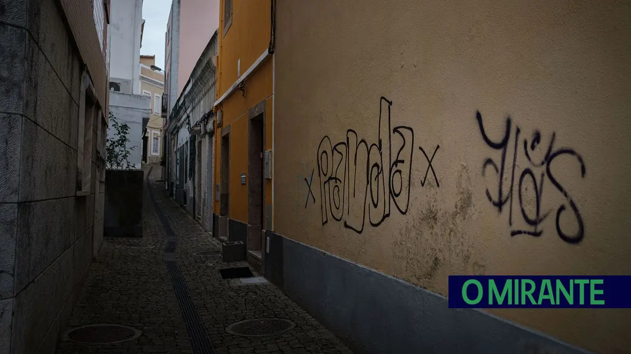 Grafitos em Vila Franca de Xira dão má imagem