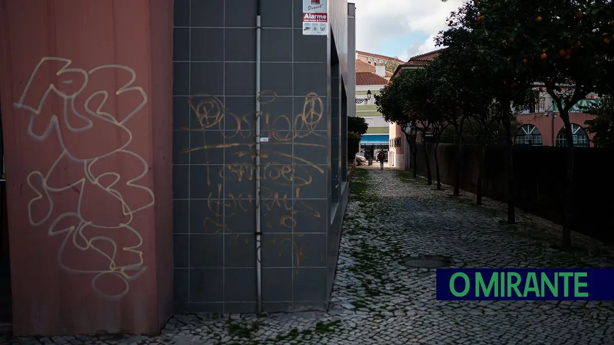 Grafitos em Vila Franca de Xira dão má imagem