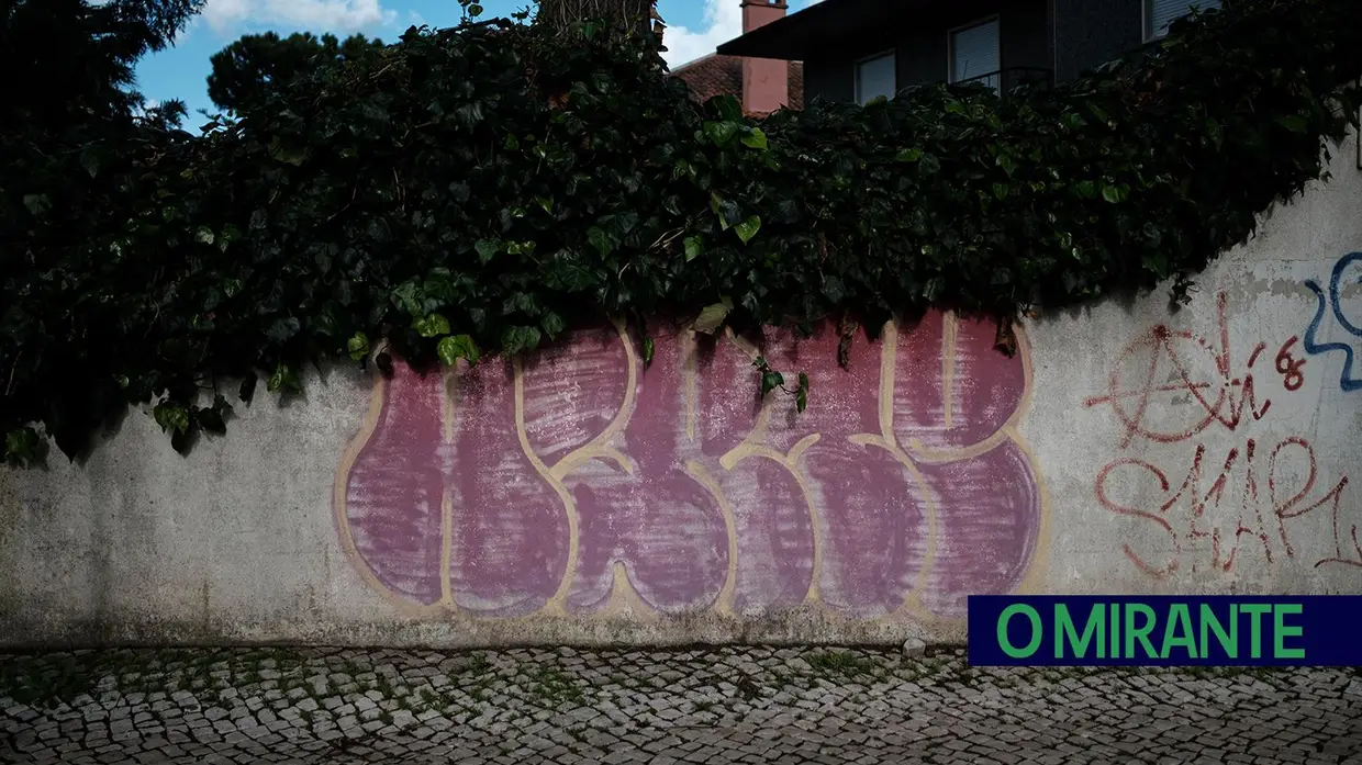 Grafitos em Vila Franca de Xira dão má imagem