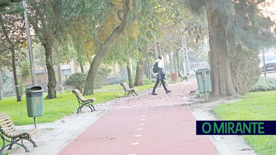 Construção das ciclovias em Benavente e Samora continua a gerar críticas Construção das ciclovias em Benavente e Samora continua a gerar críticas