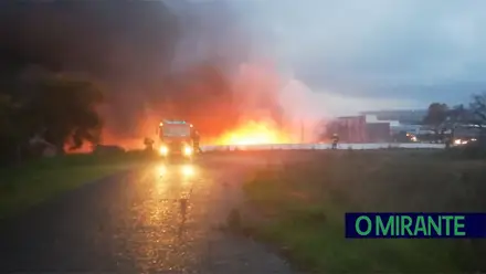 Incêndio consome armazém de produtos químicos em Alcanena