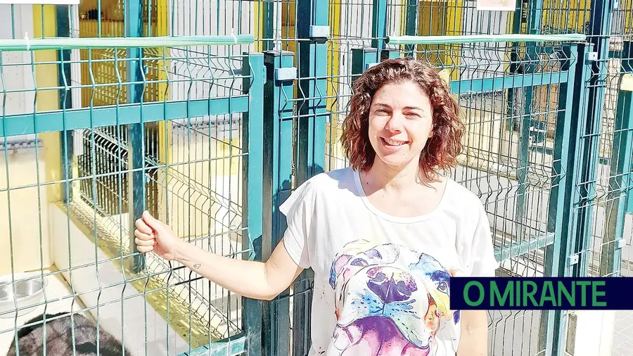 Joana Vilela Joana Vilela