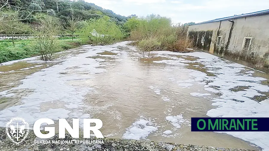 GNR detecta descarga poluente para o Alviela em Alcanena