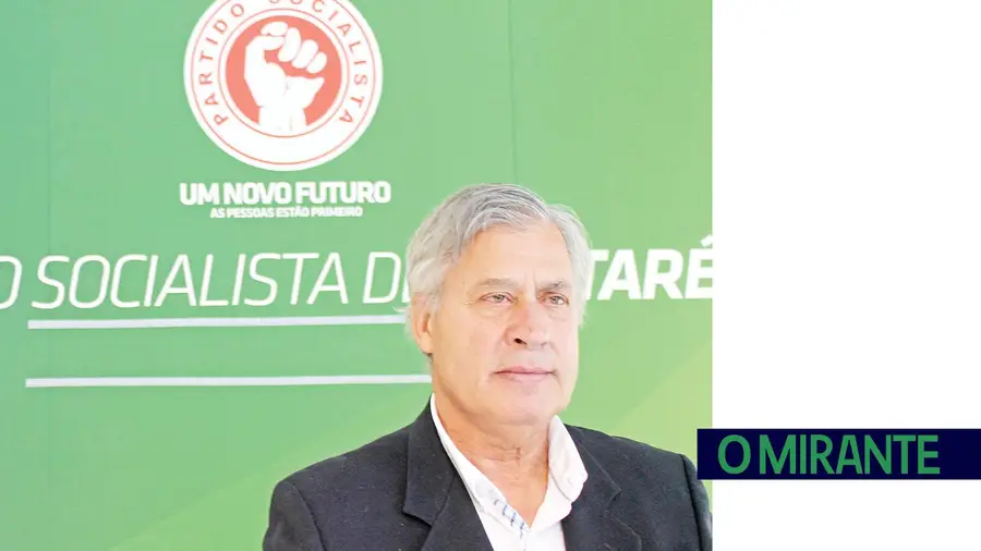 Gato escondido com o rabo de fora Gato escondido com o rabo de fora