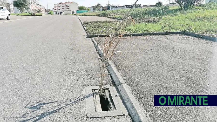 Urbanização Quinta das Correias - Cartaxo Urbanização Quinta das Correias - Cartaxo