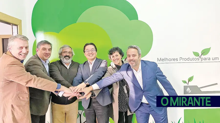 Otherway garante soluções económicas e ecológicas de elevada qualidade