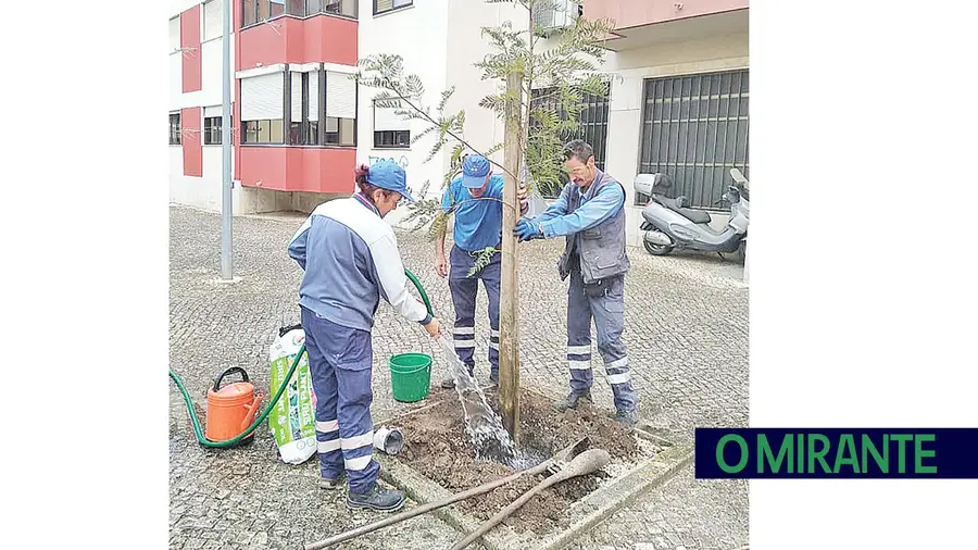 As caldeiras vazias As caldeiras vazias
