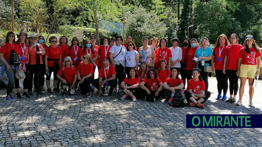 Agrupamento de Escolas Templários organiza caminhada