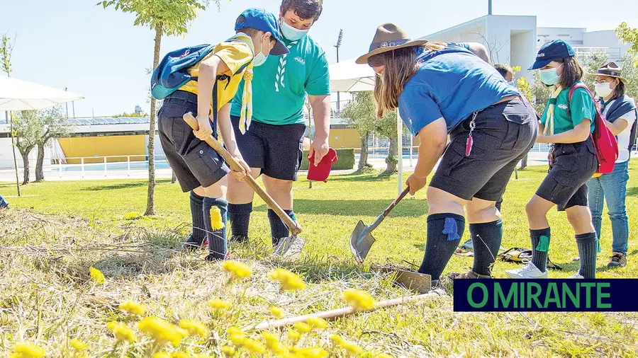 Dia Mundial do Ambiente assinalado com plantação de árvores Dia Mundial do Ambiente assinalado com plantação de árvores
