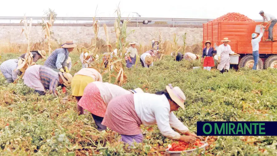 Associação Portuguesa de Cancro Cutâneo lança campanha na Feira de Agricultura