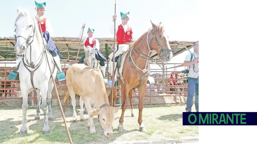 Feira Nacional de Agricultura em versão mais curta por causa da pandemia Feira Nacional de Agricultura em versão mais curta por causa da pandemia