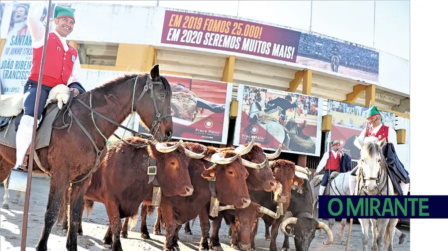 Autoridades de saúde acusadas de boicotarem corridas de toiros em Santarém 