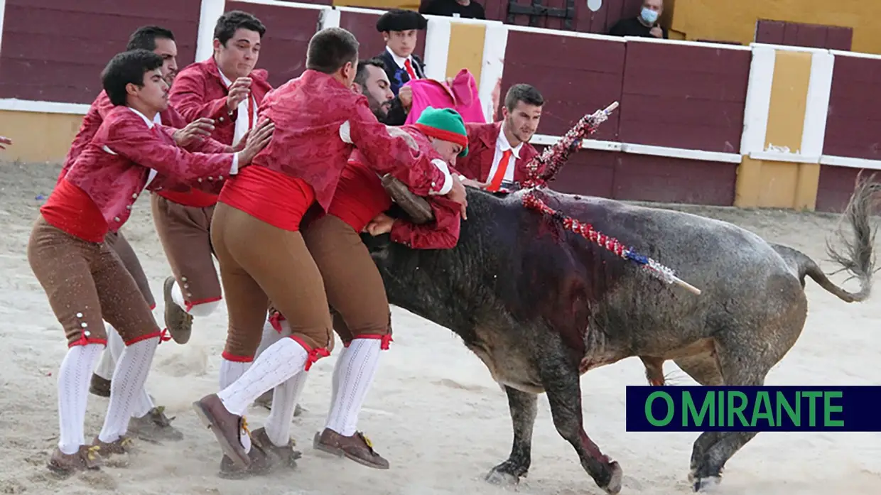 Emocionante corrida de Toiros em Arruda dos Vinhos