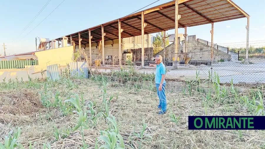 Antigo estaleiro no Entroncamento inferniza a vida aos moradores