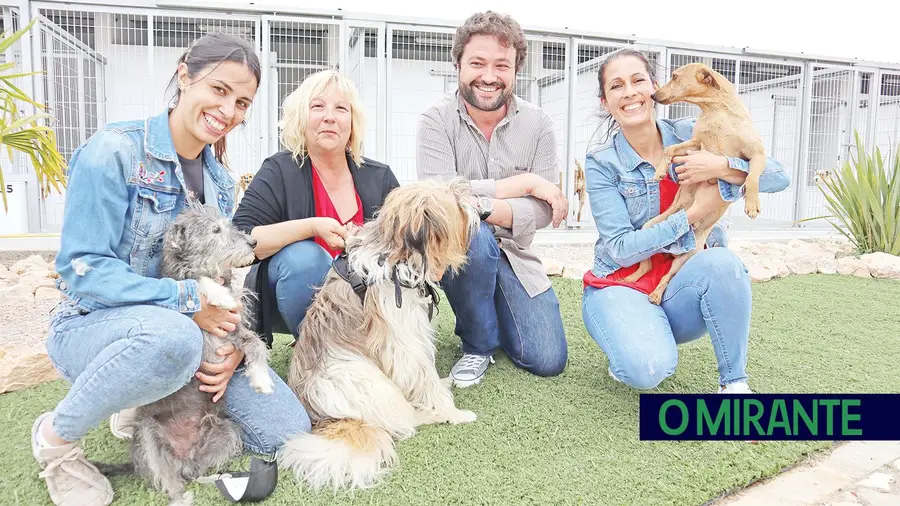 Canil de Tomar é um exemplo de amor aos animais Canil de Tomar é um exemplo de amor aos animais