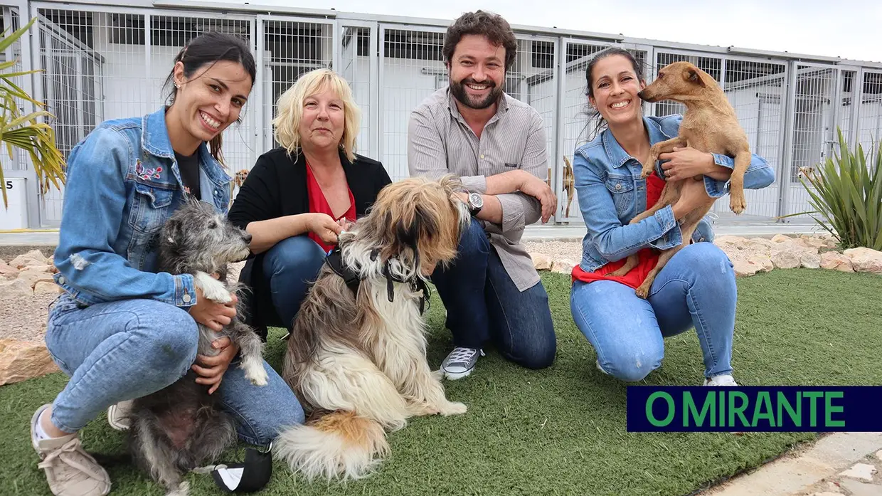 Canil de Tomar é um exemplo de amor aos animais