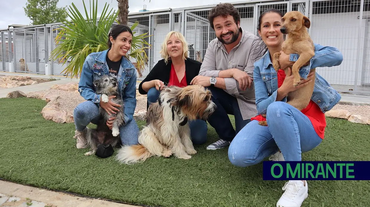 Canil de Tomar é um exemplo de amor aos animais