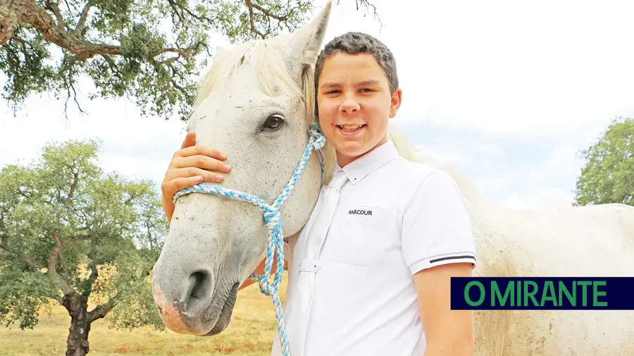 Manuel Clemente vai levar o bailado equestre do Porto Alto para a Europa