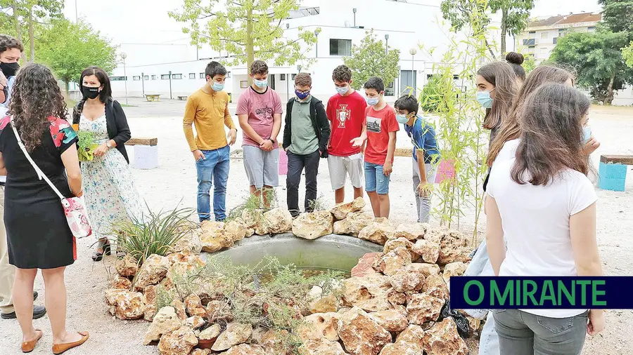 A Escola Básica 2,3 D. Nuno Álvares Pereira A Escola Básica 2,3 D. Nuno Álvares Pereira