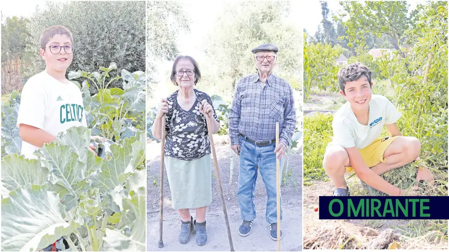 Histórias da charneca ribatejana onde o trabalho não mete medo a ninguém Histórias da charneca ribatejana onde o trabalho não mete medo a ninguém