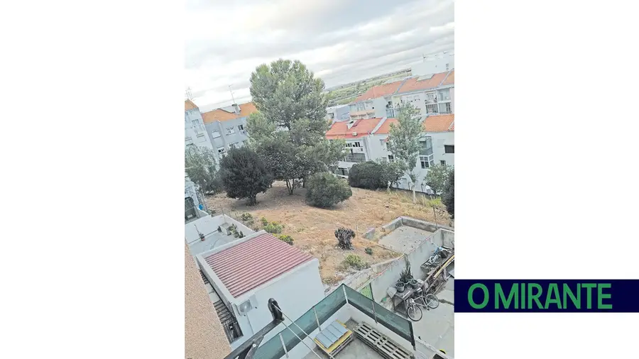 Desleixo em zonas verdes de Vila Franca de Xira Desleixo em zonas verdes de Vila Franca de Xira
