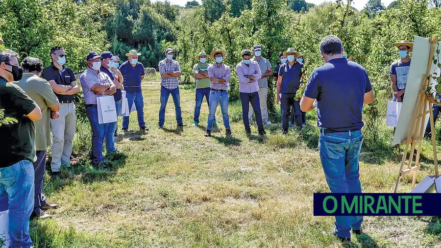 Dia de Campo da Asfertglobal