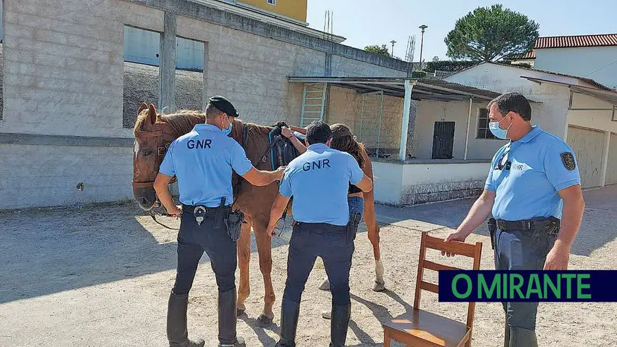 GNR com os jovens dos OTL da Junta de Freguesia de São Pedro de Tomar