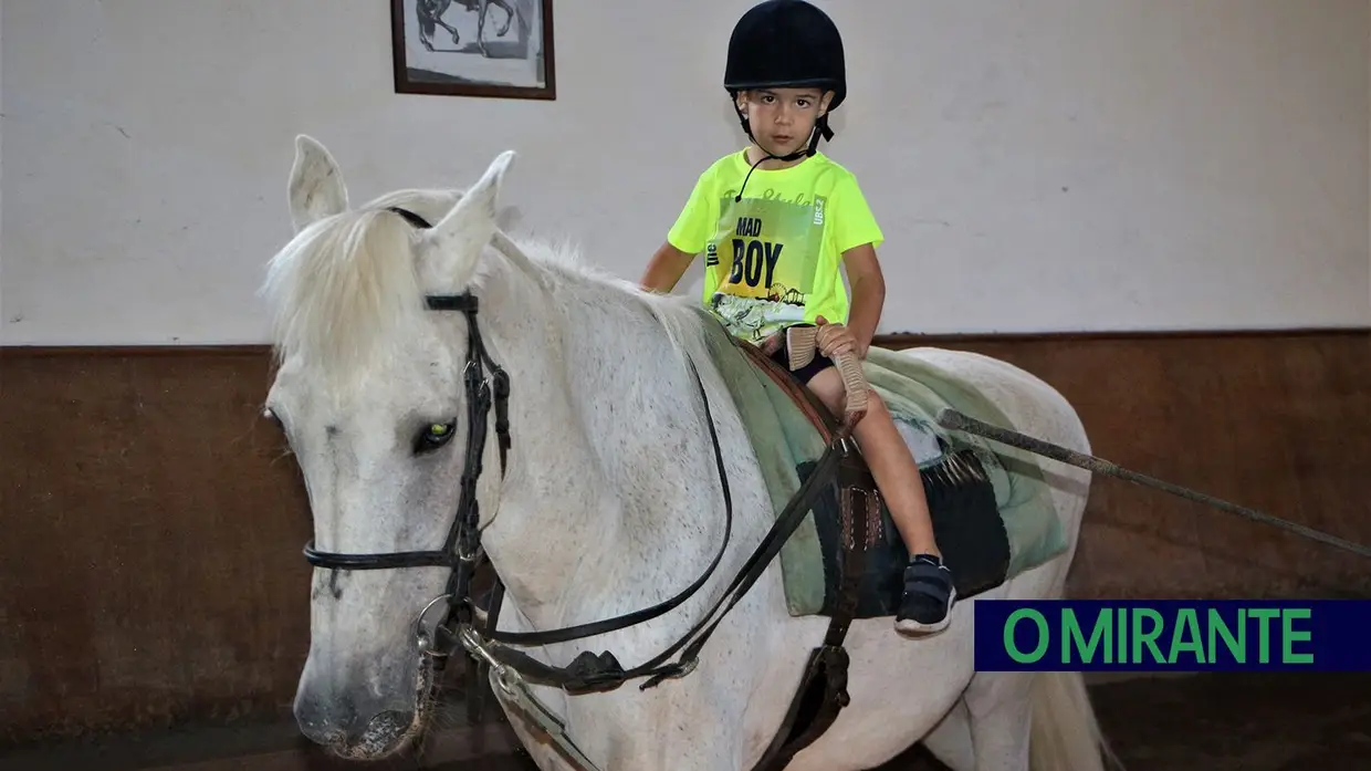 Cavalos ajudam a melhorar vida de crianças em Azambuja