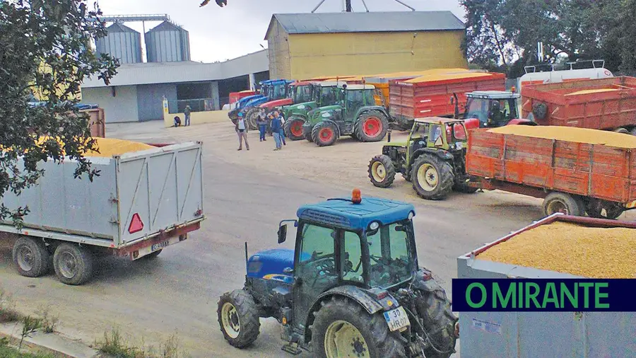 Secagro é uma empresa sustentável e dinâmica no sector dos cereais