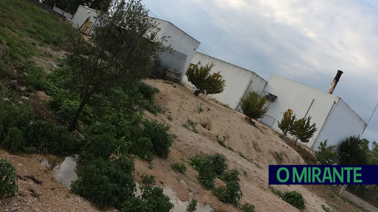 Esgotos do canil intermunicipal de Parceiros de Igreja correm a céu aberto