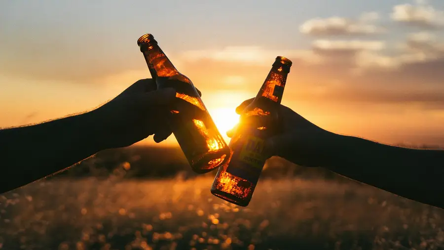 Consumo de álcool durante gravidez pode alterar estrutura cerebral do bebé Consumo de álcool durante gravidez pode alterar estrutura cerebral do bebé