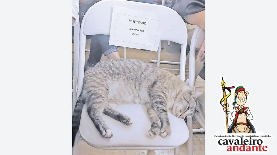Ali há gato! Ali há gato!