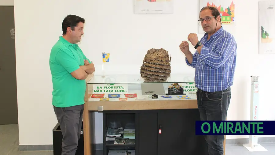 Associação de Modelismo do Centro desenvolve sistema de combate à vespa asiática Associação de Modelismo do Centro desenvolve sistema de combate à vespa asiática