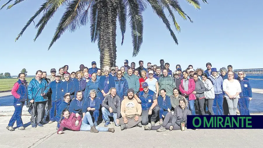Milhões de plantas da Salm Portugal distribuídas anualmente na Europa Milhões de plantas da Salm Portugal distribuídas anualmente na Europa